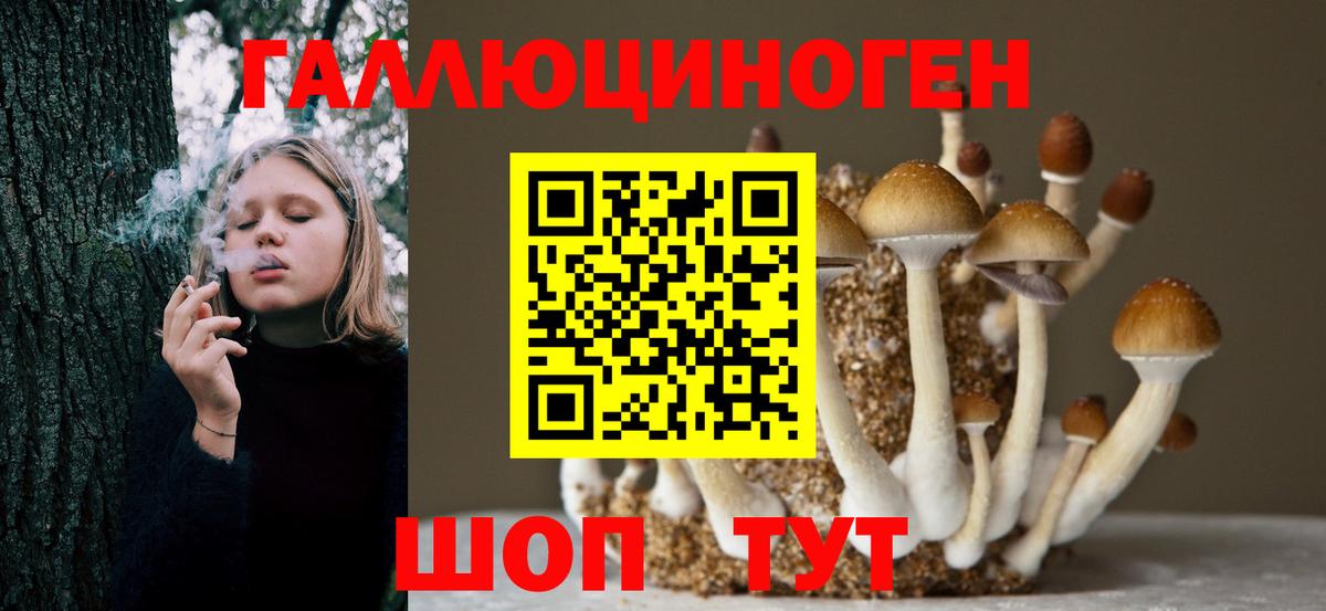 Псилоцибиновые грибы Psilocybine cubensis  Вход с VPN  Сызрань 